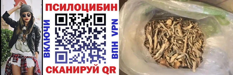 закладка  Бикин  Галлюциногенные грибы Psilocybine cubensis 