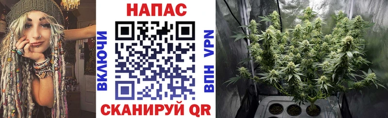 МАРИХУАНА сатива  сколько стоит  даркнет состав  Бикин 